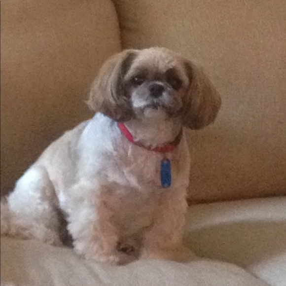 NFS - Picture 2 of 3